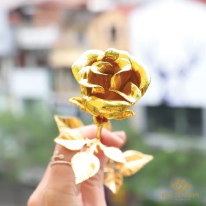 Hoa Hồng mạ vàng 24K - Bông hồng Dát vàng Cao Cấp
